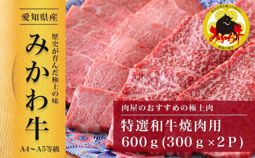 【みかわ牛】特選和牛焼肉用600ｇ