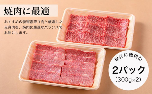 【みかわ牛】特選和牛焼肉用600ｇ