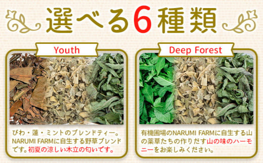 山茶 ミント 1パック NARUMIFARM《30日以内に出荷予定(土日祝除く)》｜ お茶 茶 ハーブティー 自然栽培 ブレンドティー ブレンド オーガニック 飲料 飲み物 お家時間 徳島県 上勝町 送料無料