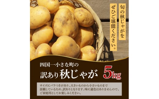 【四国一小さなまちのじゃがいも】★令和5年12月中旬発送開始★ 大野台地で採れた『 令和５年産 秋じゃが 』 6ｋｇ　～ 訳あり ～