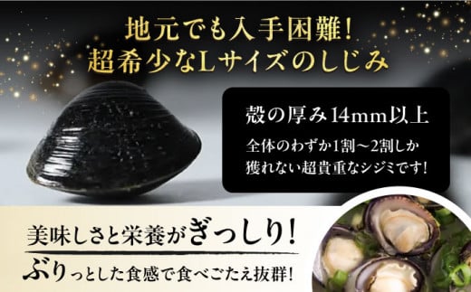 地元でも入手困難なレアサイズ！ Lサイズ 宍道湖産ヤマトシジミ(冷凍砂抜き済み)1kg×2袋(2kg)島根県松江市/宍道湖漁業協同組合 [ALAZ003]