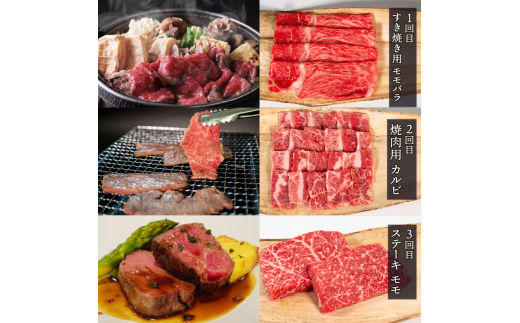 定期便 近江牛 全6回 ステーキ 焼肉 カルビ モモ バラ 肩ロース 赤身 サーロイン （ 定期便 肉 黒毛和牛 お弁当 ブランド 近江牛 毎月 三大和牛 滋賀県 竜王 岡喜 神戸牛 松阪牛 に並ぶ 日本三大和牛 ふるさと納税）