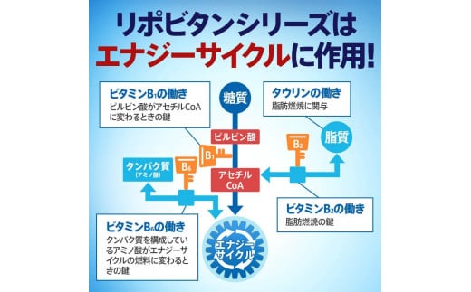 リポビタンD 50本 栄養ドリンク リポD タウリン ビタミン 大正製薬 医薬部外品 健康 疲労回復 予防 栄養補給 つるや薬局 埼玉県 羽生市