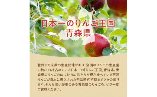 【2024年12月中旬発送】【訳あり】 りんご 10kg 紅玉 アップルパイ に最適 青森 不揃い