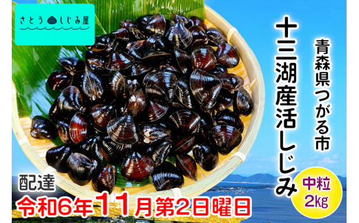 [令和6年11月第2日曜日配達] さとうしじみ屋の十三湖産活しじみ(中粒2kg)[冷蔵]｜十三湖産 青森 津軽 つがる しじみ みそ汁 味噌汁 しじみ汁 活しじみ 冷蔵 [0584]