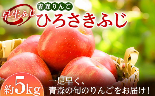 青森りんご 早生ふじの代表格 ひろさきふじ 約５ｋｇ 【マルス果樹園】 ふじ リンゴ 林檎 アップル あおもり 青森 青森県 南部町 三戸 南部 果物 くだもの フルーツ F21U-241