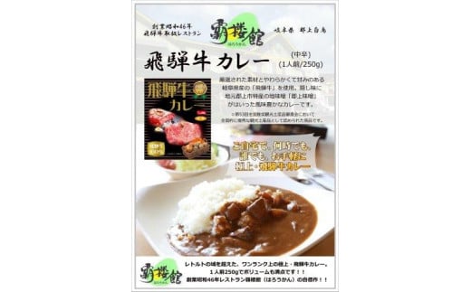 覇楼館・飛騨牛カレー1人前(250g)×3個セット