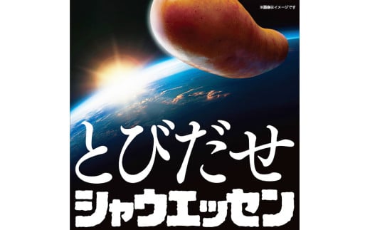 083-1001【定期便 6ヶ月】シャウエッセン とろける 4種 チーズ 94g x 2束 x 72パック｜食品 あらびき ウインナー ソーセージ セット タンパク質 国内製造 日本ハム お取り寄せグルメ 定期便 お弁当 おかず 惣菜 おつまみ 送料無料