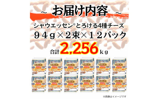 083-1001【定期便 6ヶ月】シャウエッセン とろける 4種 チーズ 94g x 2束 x 72パック｜食品 あらびき ウインナー ソーセージ セット タンパク質 国内製造 日本ハム お取り寄せグルメ 定期便 お弁当 おかず 惣菜 おつまみ 送料無料