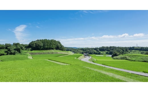 ＜最優秀酒蔵賞受賞 大木代吉本店＞さわやか本醸造・さわやか本醸造辛口 日本酒飲み比べ  各720ml【1518991】