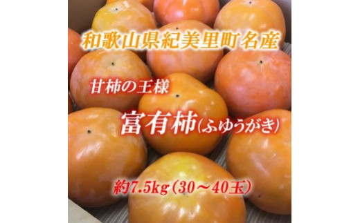 ■[11月中旬より順次発送]和歌山県紀美野町産 富有柿 約7.5kg（30～40玉）