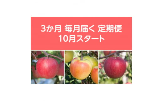 ＜発送月固定定期便＞〈2024年10月より順次発送〉甘味系・青森県産りんご約3kg 全3回【4051688】