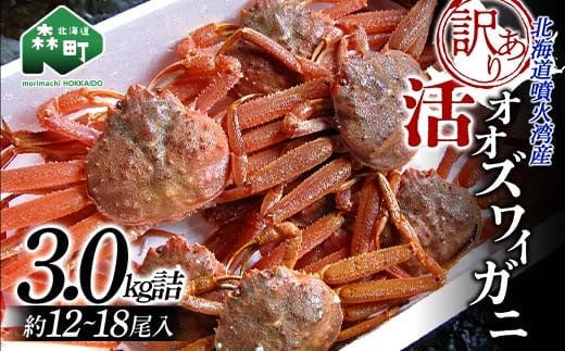 【生産者応援！期間限定増量中！】【訳あり】北海道噴火湾産 活オオズワイガニ 3.0kg 詰め込みセット ＜道産ネットミツハシ＞ かに カニ 蟹 ガニ がに 森町 ふるさと納税 北海道 ずわいがに mr1-0451