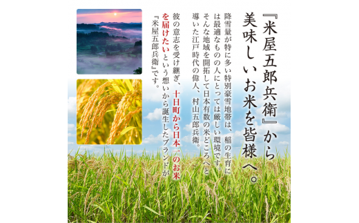 ＜新米発送＞【定期便/全12回】十日町産魚沼コシヒカリ 米屋五郎兵衛 棚田米 精米2kg 2袋セット