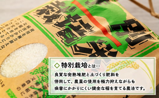 米 コシヒカリ 5kg 培期間中化学肥料・農薬不使用 特別栽培 お米 おこめ こめ コメ 精米 有機米 ご飯 ごはん 白米 安心 安全 美味しい 長野県産 長野 信州産 [№5675-1392]