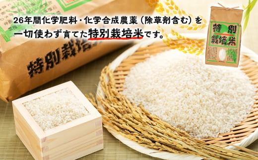 米 コシヒカリ 5kg 培期間中化学肥料・農薬不使用 特別栽培 お米 おこめ こめ コメ 精米 有機米 ご飯 ごはん 白米 安心 安全 美味しい 長野県産 長野 信州産 [№5675-1392]