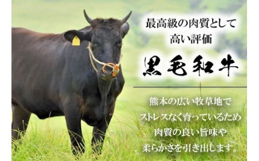 1430 くまもと黒毛和牛　焼肉用ロース・カルビ　切り落とし　計500ｇ