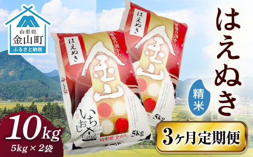 令和6年産 金山産米 はえぬき 【精米】（5kg×2袋）×3ヶ月  計30kg 定期便 米 お米 白米 ご飯 ブランド米 送料無料 東北 山形 金山町  F4B-0532