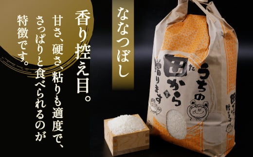 ■6ヵ月連続お届け【定期便 6回】北海道 豊浦 令和5年産 精米 ななつぼし 5kg 【 ふるさと納税 人気 おすすめ ランキング 穀物・乳 米 精米 ななつぼし 大容量 おいしい 美味しい あまい 新鮮 定期便 北海道 豊浦町 送料無料 】 TYUQ005