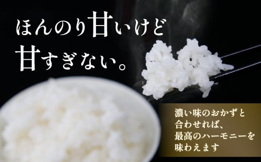 ■6ヵ月連続お届け【定期便 6回】北海道 豊浦 令和5年産 精米 ななつぼし 5kg 【 ふるさと納税 人気 おすすめ ランキング 穀物・乳 米 精米 ななつぼし 大容量 おいしい 美味しい あまい 新鮮 定期便 北海道 豊浦町 送料無料 】 TYUQ005