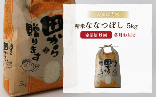 ■6ヵ月連続お届け【定期便 6回】北海道 豊浦 令和5年産 精米 ななつぼし 5kg 【 ふるさと納税 人気 おすすめ ランキング 穀物・乳 米 精米 ななつぼし 大容量 おいしい 美味しい あまい 新鮮 定期便 北海道 豊浦町 送料無料 】 TYUQ005