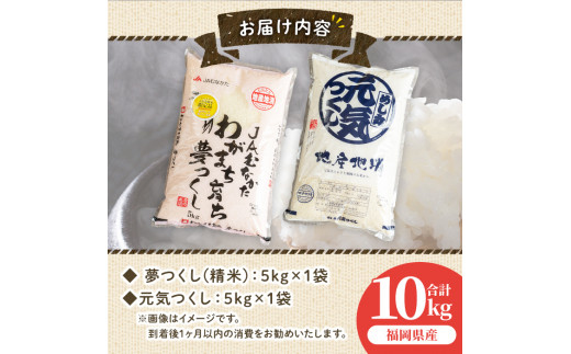 果物屋さんが選んだ米食べ比べ「夢つくし&元気つくし」(5kg×2種・合計10kg)お米 白米 10キロ ごはん ご飯  常温 常温保存【ksg0168】【南国フルーツ】