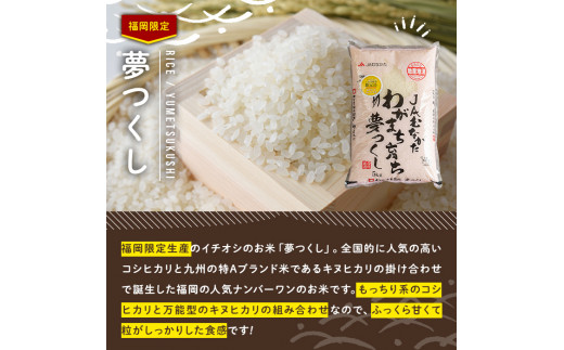 果物屋さんが選んだ米食べ比べ「夢つくし&元気つくし」(5kg×2種・合計10kg)お米 白米 10キロ ごはん ご飯  常温 常温保存【ksg0168】【南国フルーツ】