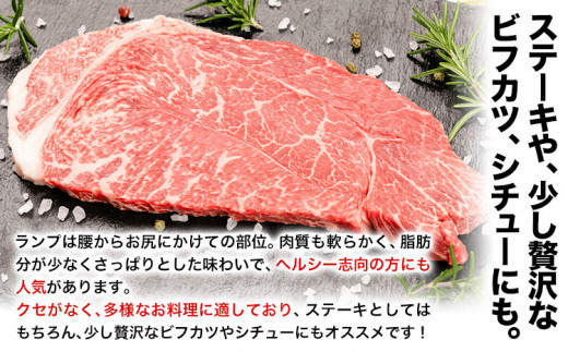 熊野牛 赤身ステーキ(ランプ) 計600g(200g×3枚)(粉山椒付) 澤株式会社(Meat Factory)《30日以内に出荷予定(土日祝除く)》 和歌山県 日高町 熊野牛 牛 うし 牛肉 赤身 ステーキ ランプ 山椒 送料無料