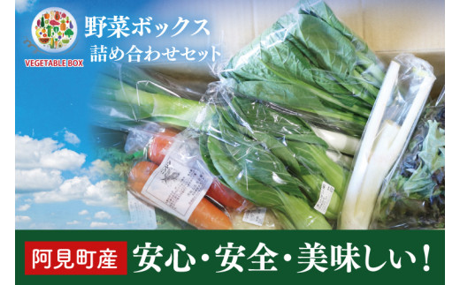 04-05 阿見町産野菜ボックス詰め合わせセット（7～8品）【新鮮 美味しい EM菌 減農薬 有機肥料 阿見町 茨城県】