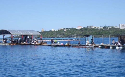 もとぶ町を満喫【体験】プラン　4名（イカダ釣り・美ら海水族館・ランチ付）