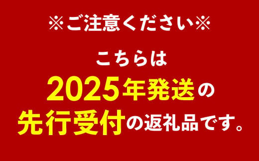 【先行受付】【2025年発送】南国フーズの完熟アップルマンゴー 約2kg