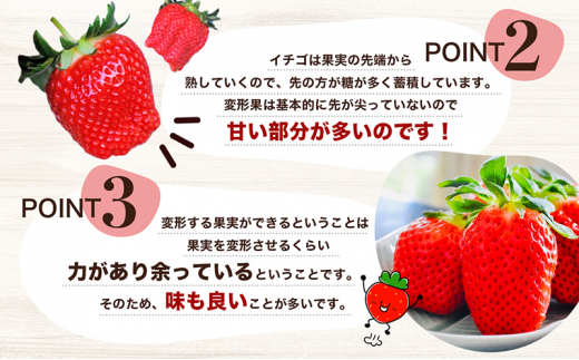 【配送エリア限定商品】＜訳あり・大粒＞小豆島産　変形果いちご　1.4kg