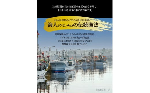 【サイズ不揃い】ソデイカ・刺身用ブロック  500g/沖永良部島特産　W009-056u