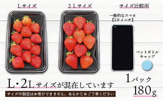 食べきりサイズ！博多あまおう８パック【2025年1月より順次】約1440ｇ（2L～Lサイズ）[F2319]