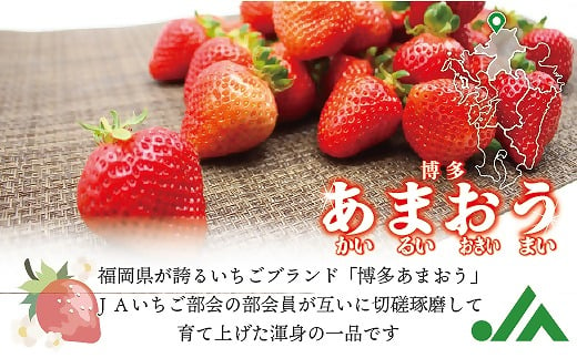 食べきりサイズ！博多あまおう８パック【2025年1月より順次】約1440ｇ（2L～Lサイズ）[F2319]