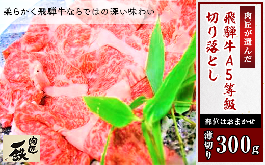 肉匠が選んだ飛騨牛A5等級切り落とし　300g(薄切り)【1107148】