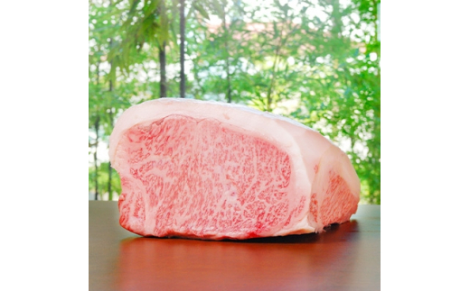 肉匠が選んだ飛騨牛A5等級切り落とし　300g(薄切り)【1107148】