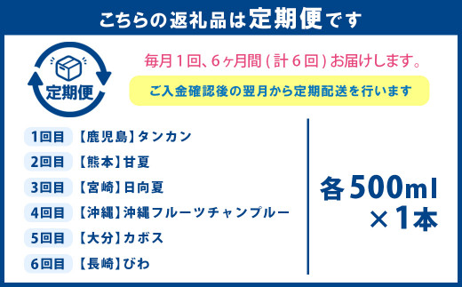 【6ヶ月定期便】九州を飲む！毎月届く九州果実シロップ