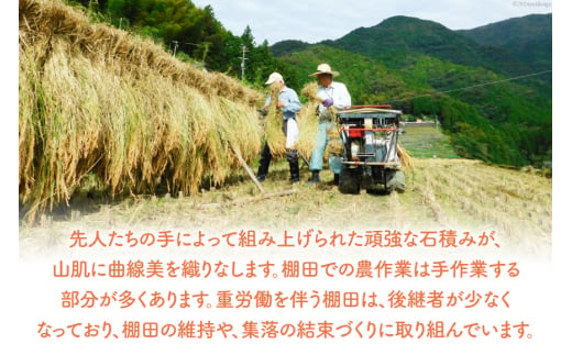 天日干し もち米 石垣棚田の里で作る『貝ノ川の棚田米』 1kg×2袋 計2kg [貝ノ川棚田保存会 高知県 津野町 26as0004] 餅米 餅ごめ お餅 餅 餅つき 赤飯 おこわ 常温