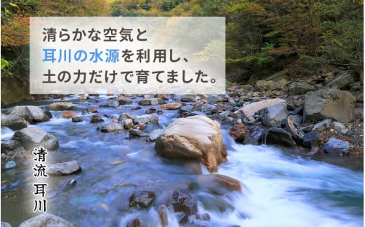 定期便 ≪3ヶ月連続お届け≫【令和6年産・新米】⾧谷川農園の コシヒカリ 白米 5kg × 3回 (計15kg) 【お米 こしひかり 5キロ 精米 ブランド米 ふるさと納税米 産地直送】 [m22-c002]