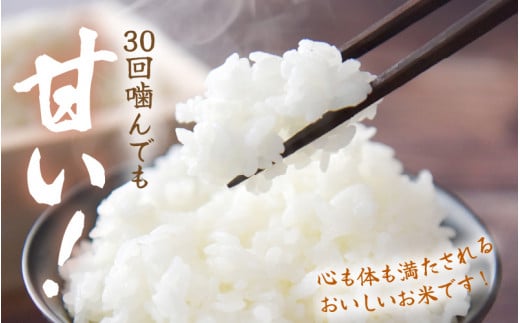 定期便 ≪3ヶ月連続お届け≫【令和6年産・新米】⾧谷川農園の コシヒカリ 白米 5kg × 3回 (計15kg) 【お米 こしひかり 5キロ 精米 ブランド米 ふるさと納税米 産地直送】 [m22-c002]