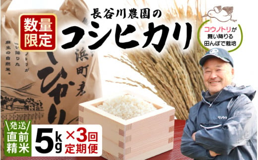 定期便 ≪3ヶ月連続お届け≫【令和6年産・新米】⾧谷川農園の コシヒカリ 白米 5kg × 3回 (計15kg) 【お米 こしひかり 5キロ 精米 ブランド米 ふるさと納税米 産地直送】 [m22-c002]