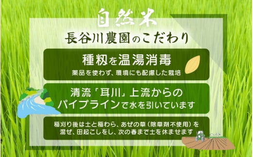 定期便 ≪3ヶ月連続お届け≫【令和6年産・新米】⾧谷川農園の コシヒカリ 白米 5kg × 3回 (計15kg) 【お米 こしひかり 5キロ 精米 ブランド米 ふるさと納税米 産地直送】 [m22-c002]