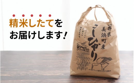 定期便 ≪3ヶ月連続お届け≫【令和6年産・新米】⾧谷川農園の コシヒカリ 白米 5kg × 3回 (計15kg) 【お米 こしひかり 5キロ 精米 ブランド米 ふるさと納税米 産地直送】 [m22-c002]