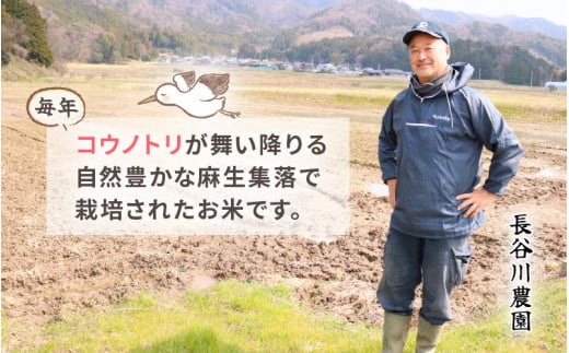 定期便 ≪3ヶ月連続お届け≫【令和6年産・新米】⾧谷川農園の コシヒカリ 白米 5kg × 3回 (計15kg) 【お米 こしひかり 5キロ 精米 ブランド米 ふるさと納税米 産地直送】 [m22-c002]