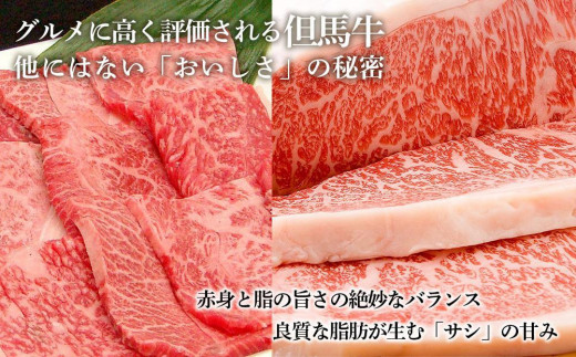 【但馬牛】焼肉用（赤身）（500g）