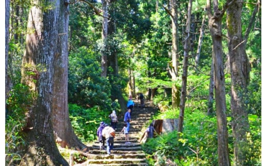 世界遺産 の街 熊野 温泉 「熊野の宿　海ひかり」 オーシャンビュー 宿泊券 お一人様プラン 1泊2食 始皇帝会席