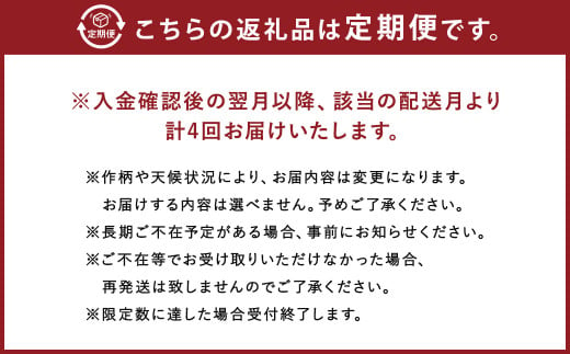 旬の採れたて 野菜 産地直送 定期便 年4回(9月・12月・2月・5月)