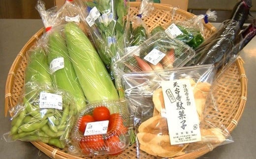 旬の採れたて 野菜 産地直送 定期便 年4回(9月・12月・2月・5月)