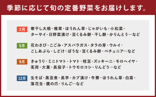 旬の採れたて 野菜 産地直送 定期便 年4回(9月・12月・2月・5月)